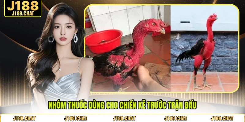 Nhóm thuốc dùng cho chiến kê trước trận đấu