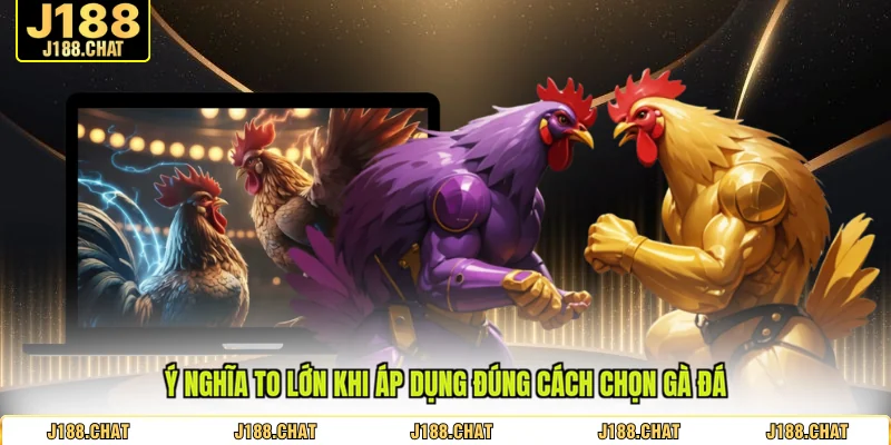Ý nghĩa to lớn khi áp dụng đúng cách chọn gà đá